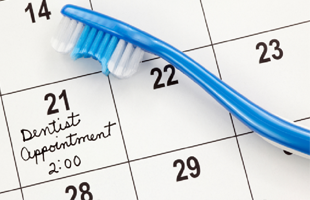 Schedule an Appointment
